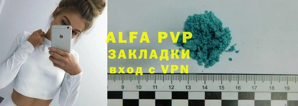 молекула духа Бородино