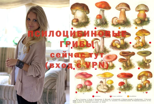 соль ск Бронницы