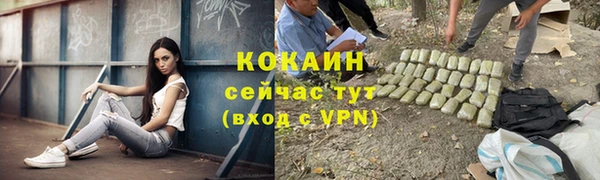 молекула духа Бородино