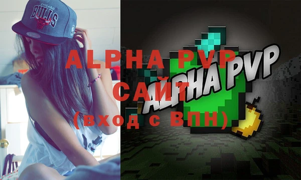 молекула духа Бородино