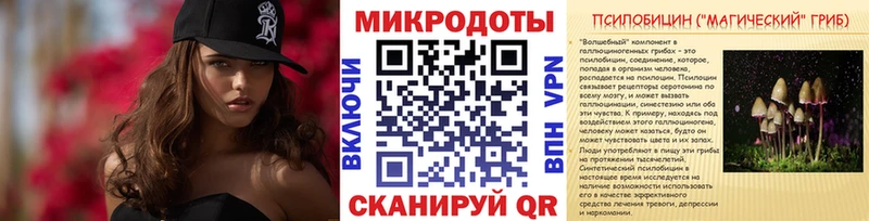 Псилоцибиновые грибы Psilocybine cubensis Кузнецк